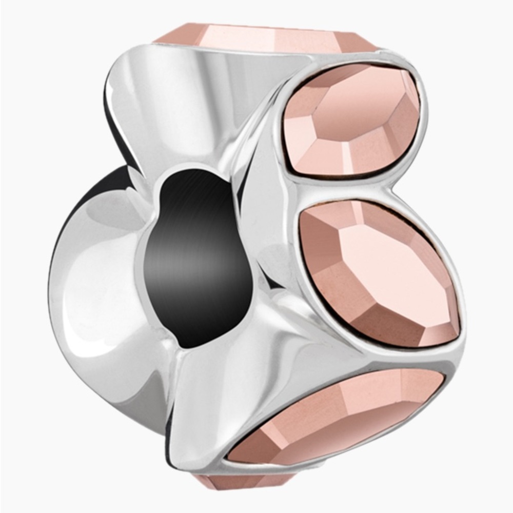 Chamilia Reflections Charm